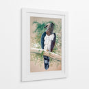 Águila Arpía - Caperh | Cuadro decorativo de Canvas Lab