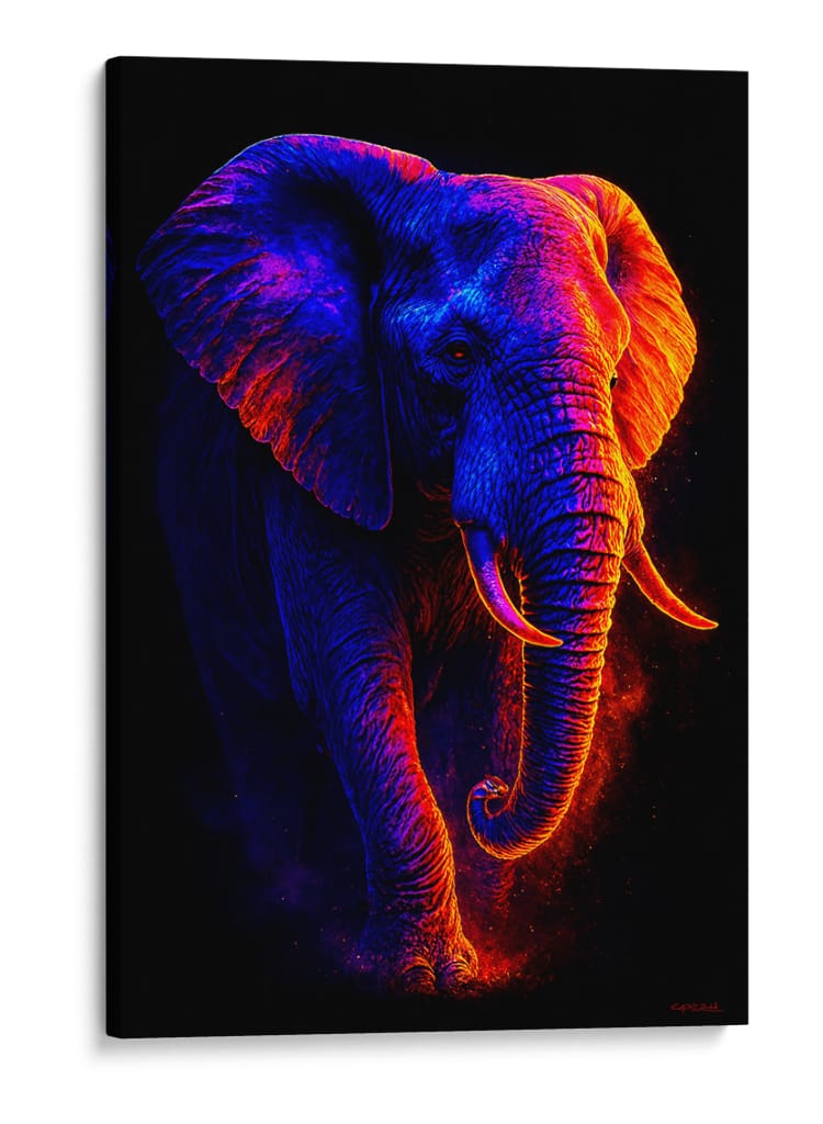 Elefante II - Caperh | Cuadro decorativo de Canvas Lab