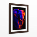 Elefante II - Caperh | Cuadro decorativo de Canvas Lab