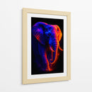 Elefante II - Caperh | Cuadro decorativo de Canvas Lab