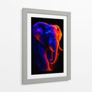 Elefante II - Caperh | Cuadro decorativo de Canvas Lab
