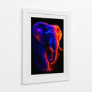 Elefante II - Caperh | Cuadro decorativo de Canvas Lab