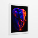 Elefante II - Caperh | Cuadro decorativo de Canvas Lab