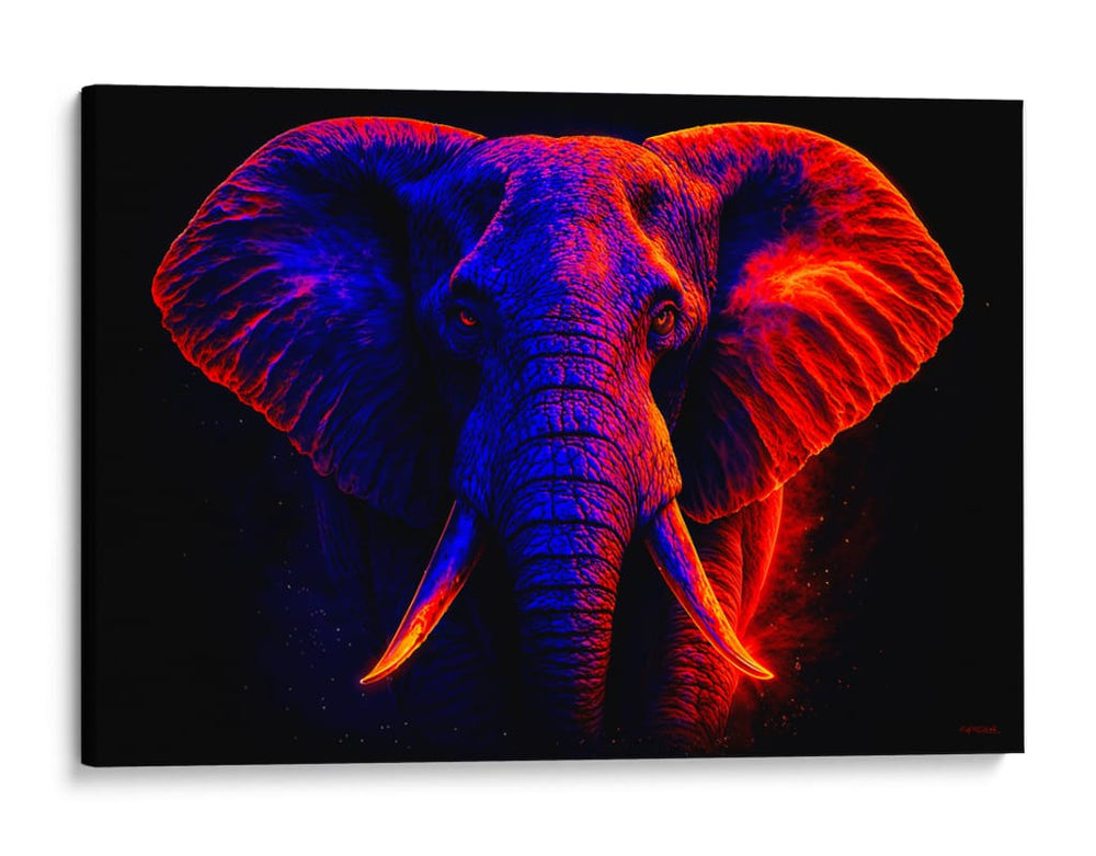 Elefante III - Caperh | Cuadro decorativo de Canvas Lab