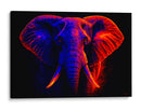 Elefante III - Caperh | Cuadro decorativo de Canvas Lab
