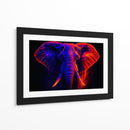 Elefante III - Caperh | Cuadro decorativo de Canvas Lab