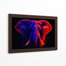 Elefante III - Caperh | Cuadro decorativo de Canvas Lab