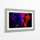 Elefante III - Caperh | Cuadro decorativo de Canvas Lab