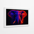 Elefante III - Caperh | Cuadro decorativo de Canvas Lab