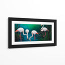 Flamencos II - Caperh | Cuadro decorativo de Canvas Lab