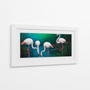 Flamencos II - Caperh | Cuadro decorativo de Canvas Lab