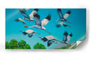 Garzas africanas - Caperh | Cuadro decorativo de Canvas Lab