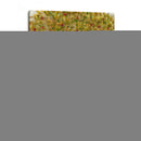 Huerto De Manzana I - Tim OToole | Cuadro decorativo de Canvas Lab