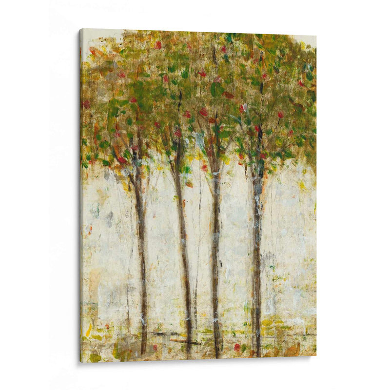 Apple Orchard Ii - Tim OToole | Cuadro decorativo de Canvas Lab