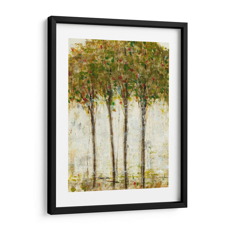 Apple Orchard Ii - Tim OToole | Cuadro decorativo de Canvas Lab