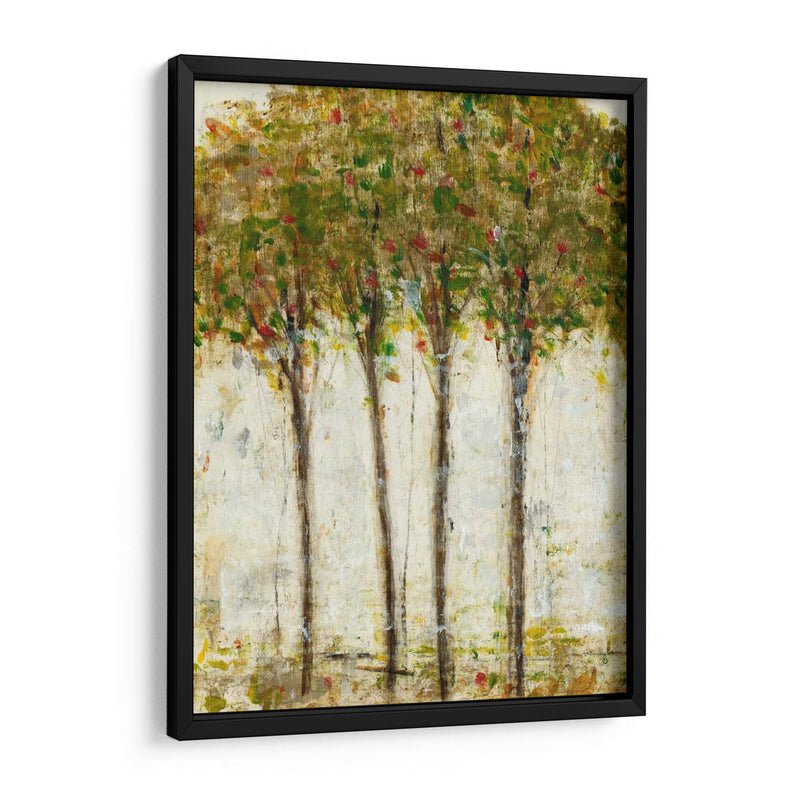 Apple Orchard Ii - Tim OToole | Cuadro decorativo de Canvas Lab