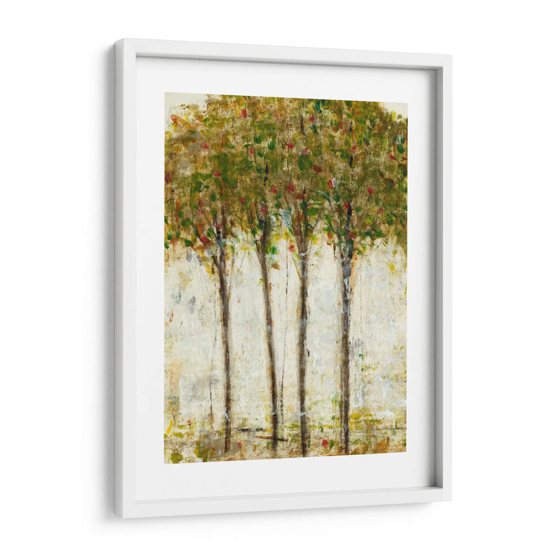 Apple Orchard Ii - Tim OToole | Cuadro decorativo de Canvas Lab