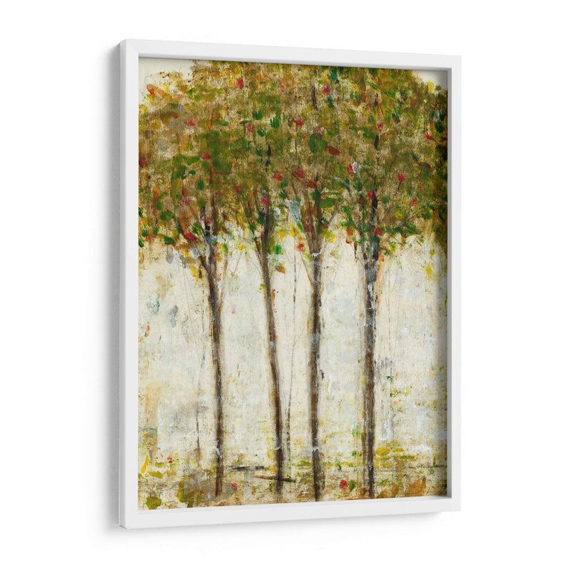 Apple Orchard Ii - Tim OToole | Cuadro decorativo de Canvas Lab