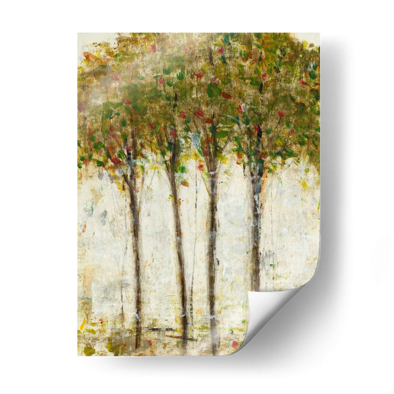 Apple Orchard Ii - Tim OToole | Cuadro decorativo de Canvas Lab