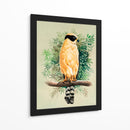 Halcón Reidor o Guaicuru - Caperh | Cuadro decorativo de Canvas Lab