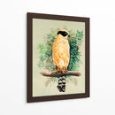 Halcón Reidor o Guaicuru - Caperh | Cuadro decorativo de Canvas Lab