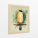 Halcón Reidor o Guaicuru - Caperh | Cuadro decorativo de Canvas Lab