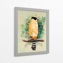 Halcón Reidor o Guaicuru - Caperh | Cuadro decorativo de Canvas Lab