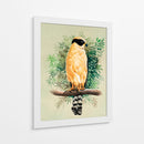Halcón Reidor o Guaicuru - Caperh | Cuadro decorativo de Canvas Lab