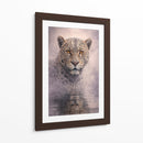 Jaguar II - Caperh | Cuadro decorativo de Canvas Lab
