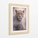 Jaguar II - Caperh | Cuadro decorativo de Canvas Lab
