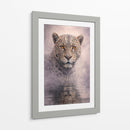 Jaguar II - Caperh | Cuadro decorativo de Canvas Lab