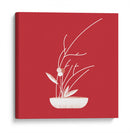 Plantita simple | Cuadro decorativo de Canvas Lab