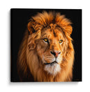 León II - Caperh | Cuadro decorativo de Canvas Lab