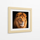 León II - Caperh | Cuadro decorativo de Canvas Lab