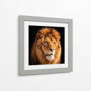 León II - Caperh | Cuadro decorativo de Canvas Lab