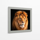 León II - Caperh | Cuadro decorativo de Canvas Lab