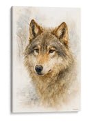 Lobo gris - Caperh | Cuadro decorativo de Canvas Lab