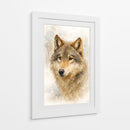 Lobo gris - Caperh | Cuadro decorativo de Canvas Lab