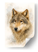 Lobo gris - Caperh | Cuadro decorativo de Canvas Lab