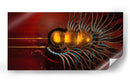 Medusas doradas II - Caperh | Cuadro decorativo de Canvas Lab