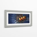 Medusas doradas - Caperh | Cuadro decorativo de Canvas Lab