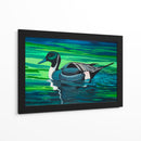 Northern Pintail - Caperh | Cuadro decorativo de Canvas Lab
