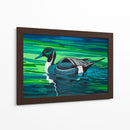 Northern Pintail - Caperh | Cuadro decorativo de Canvas Lab