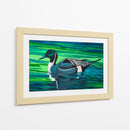 Northern Pintail - Caperh | Cuadro decorativo de Canvas Lab
