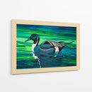 Northern Pintail - Caperh | Cuadro decorativo de Canvas Lab