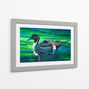 Northern Pintail - Caperh | Cuadro decorativo de Canvas Lab