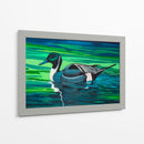 Northern Pintail - Caperh | Cuadro decorativo de Canvas Lab