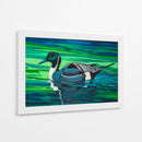 Northern Pintail - Caperh | Cuadro decorativo de Canvas Lab