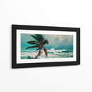 Palmera - Caperh | Cuadro decorativo de Canvas Lab