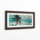Palmera - Caperh | Cuadro decorativo de Canvas Lab